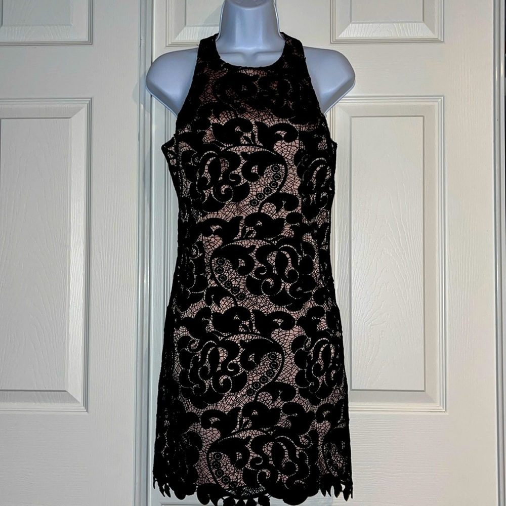 Eliza J lace cocktail dress